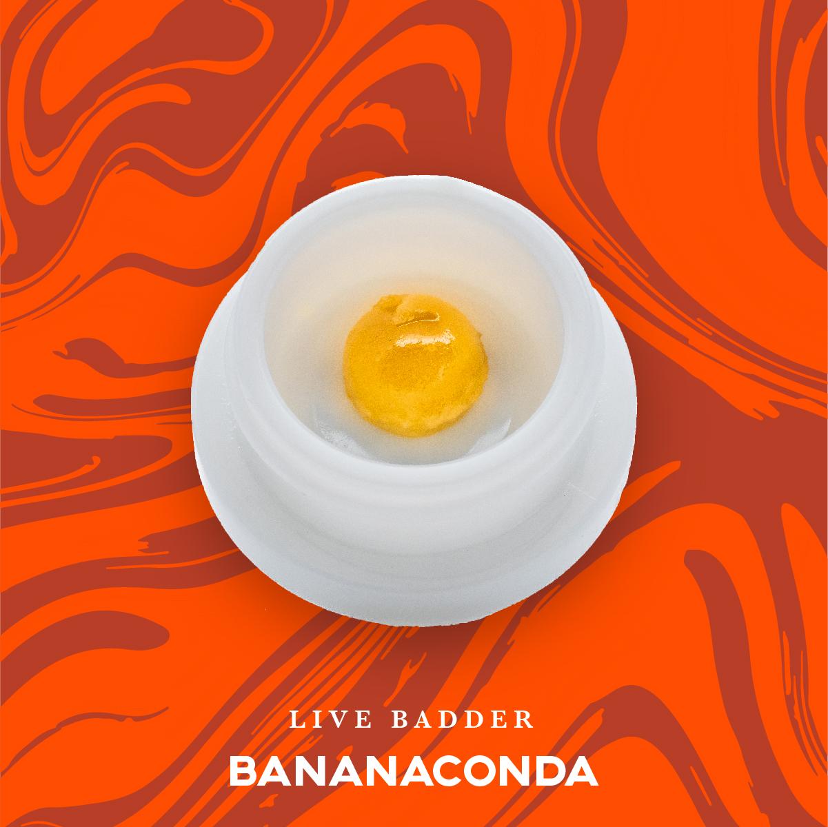 Photograph of product: Bananaconda Live Badder | 1g