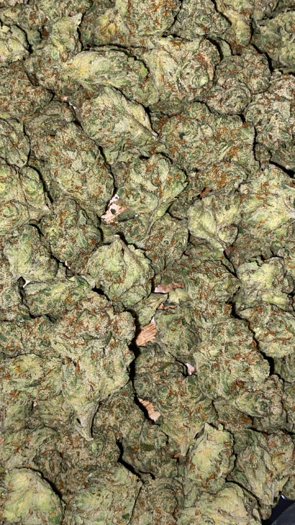 Photograph of product: Honey Banana | Premium Flower - 28g