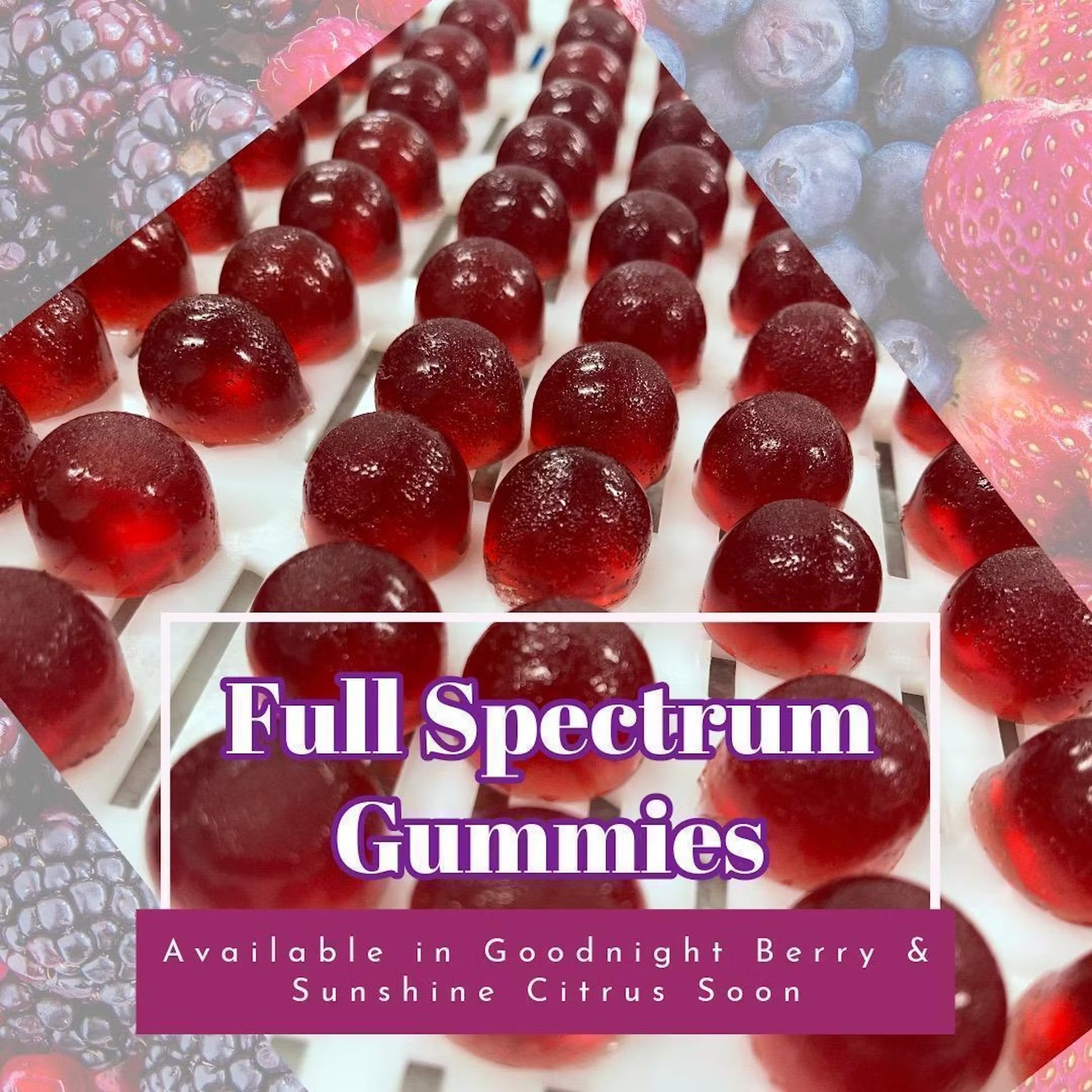 Photograph of product: Goodnight Berry Oui'd Gummies (100mg) by Lady Gray