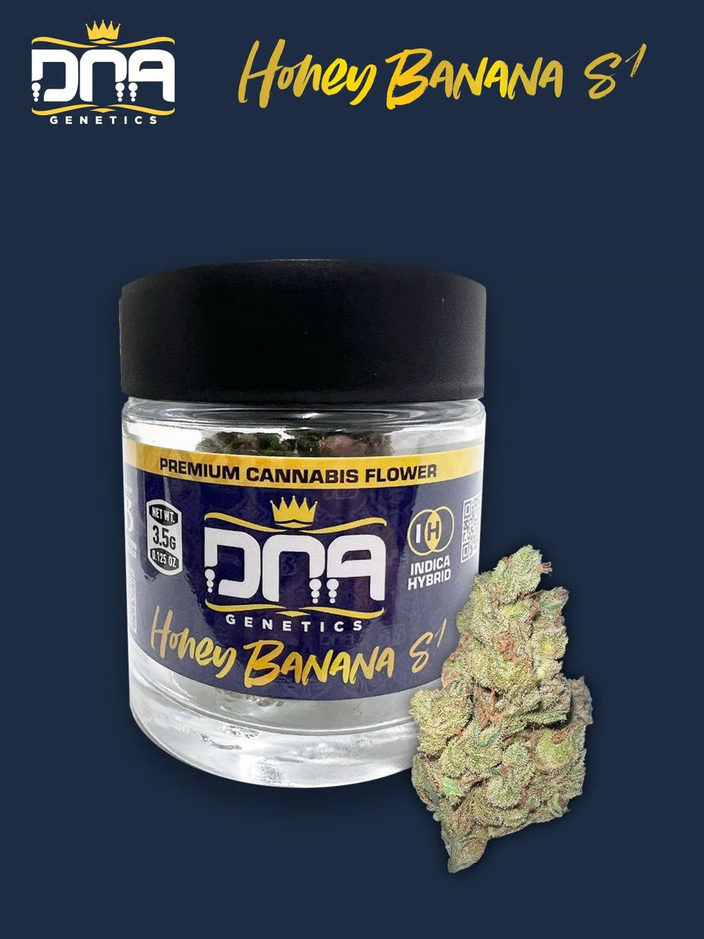 Photograph of product: DNA GENETICS Honey Banana S1 3.5g
