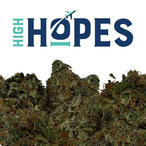 Photograph of product: High Hopes | Blueberry au chocolatplant - 28g