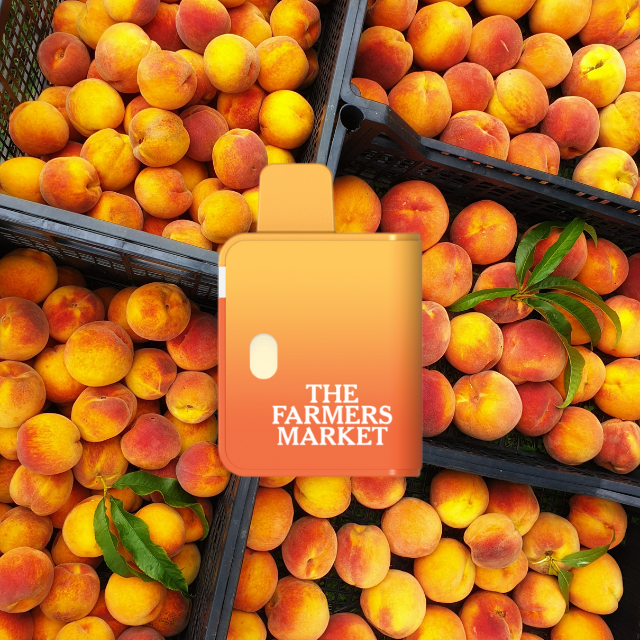 Photograph of product: DISPOSABLE | GEORGIA PEACH MAC | 1G