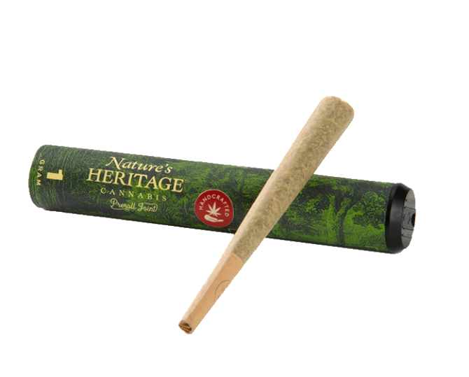 Photograph of product: Orange Biscuits Pre-Roll | 1g