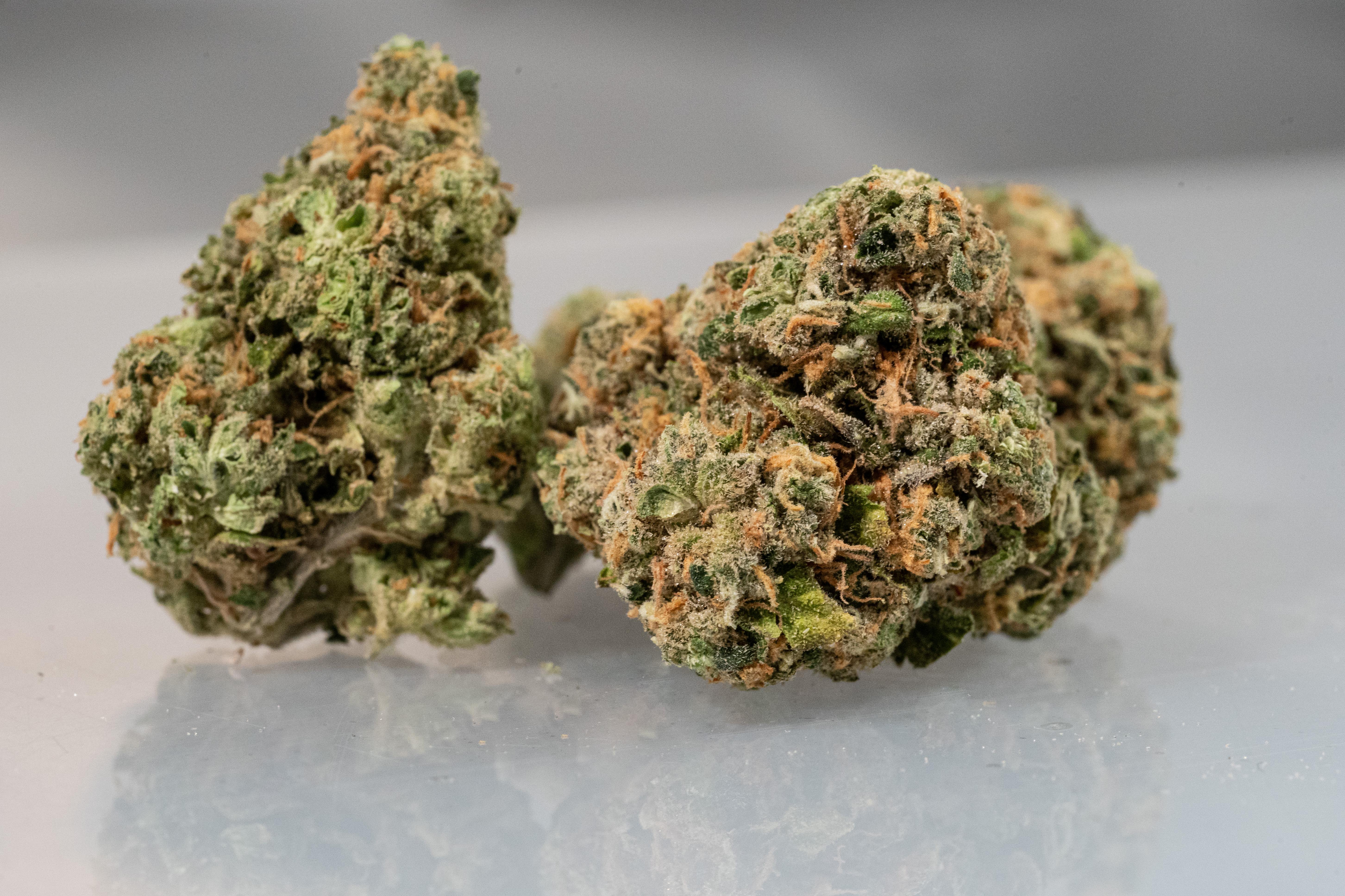 Photograph of product: Burkle | Flower - 14g