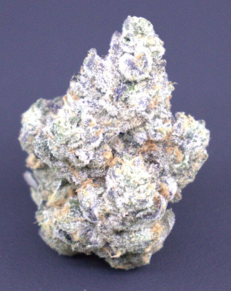 Photograph of product: Ice Cream Cake - Buds - 3.5g