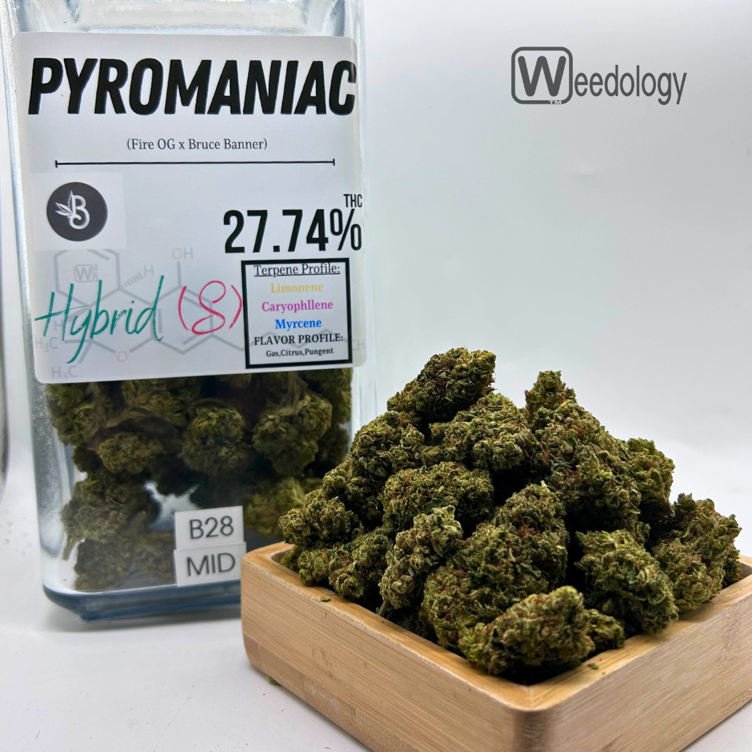 Photograph of product: Pyromanic (S-H) - 3.5g