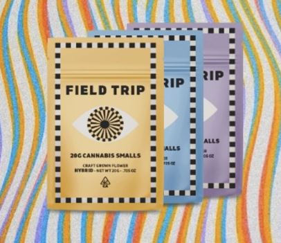 Photograph of product: Field Trip 20g Electric Feel