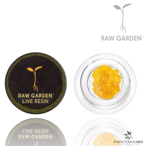 Photograph of product: SUGAR BEARS