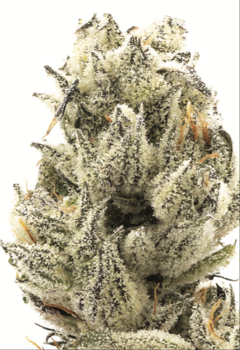 Photograph of product: Granola Funk 1/8 Prepack - 28g