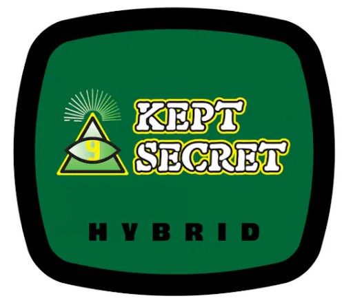 Photograph of product: Premium Shelf 93 Boyz Kept Secret (H) - 3.5g