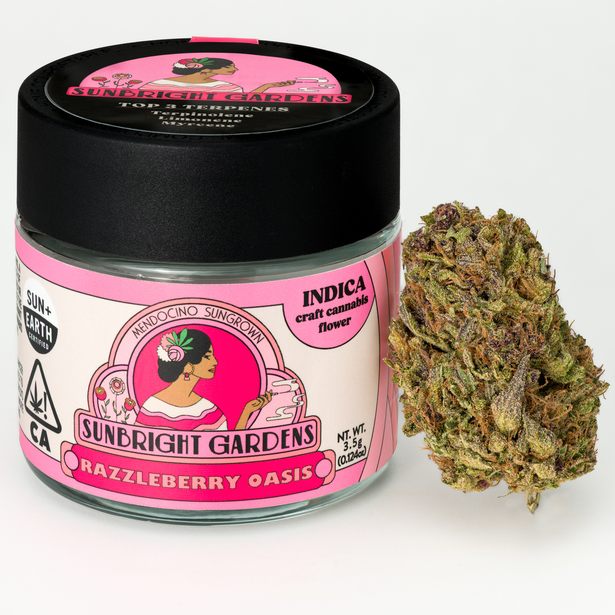 Photograph of product: RAZZLEBERRY OASIS