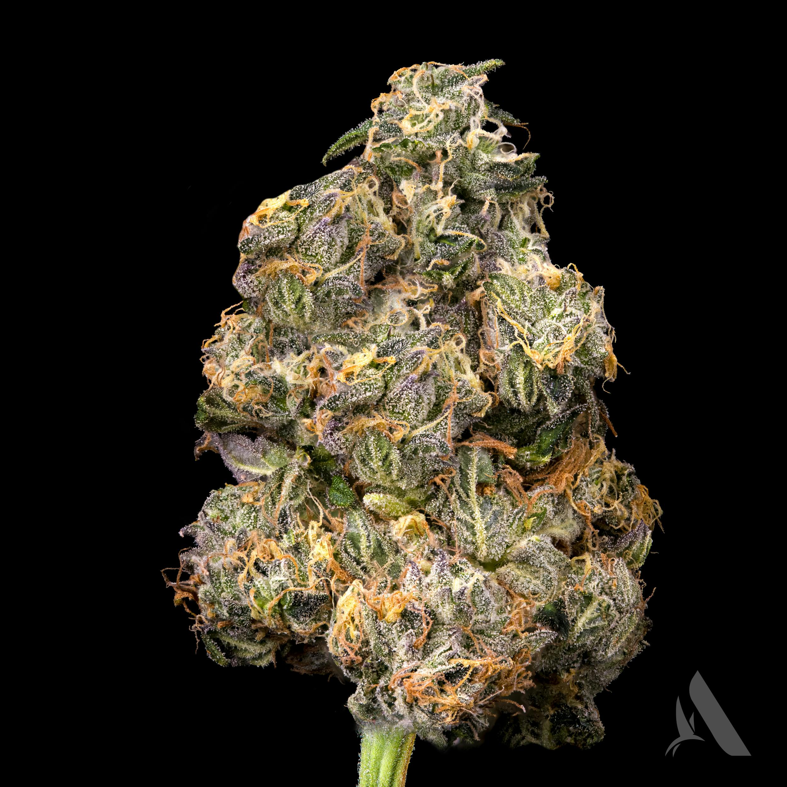 Photograph of product: Affinity Flower 3.5g Medellin (I)