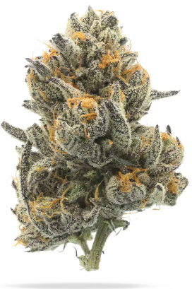 Photograph of product: 710 Labs Piescream #7 Flower - 1g