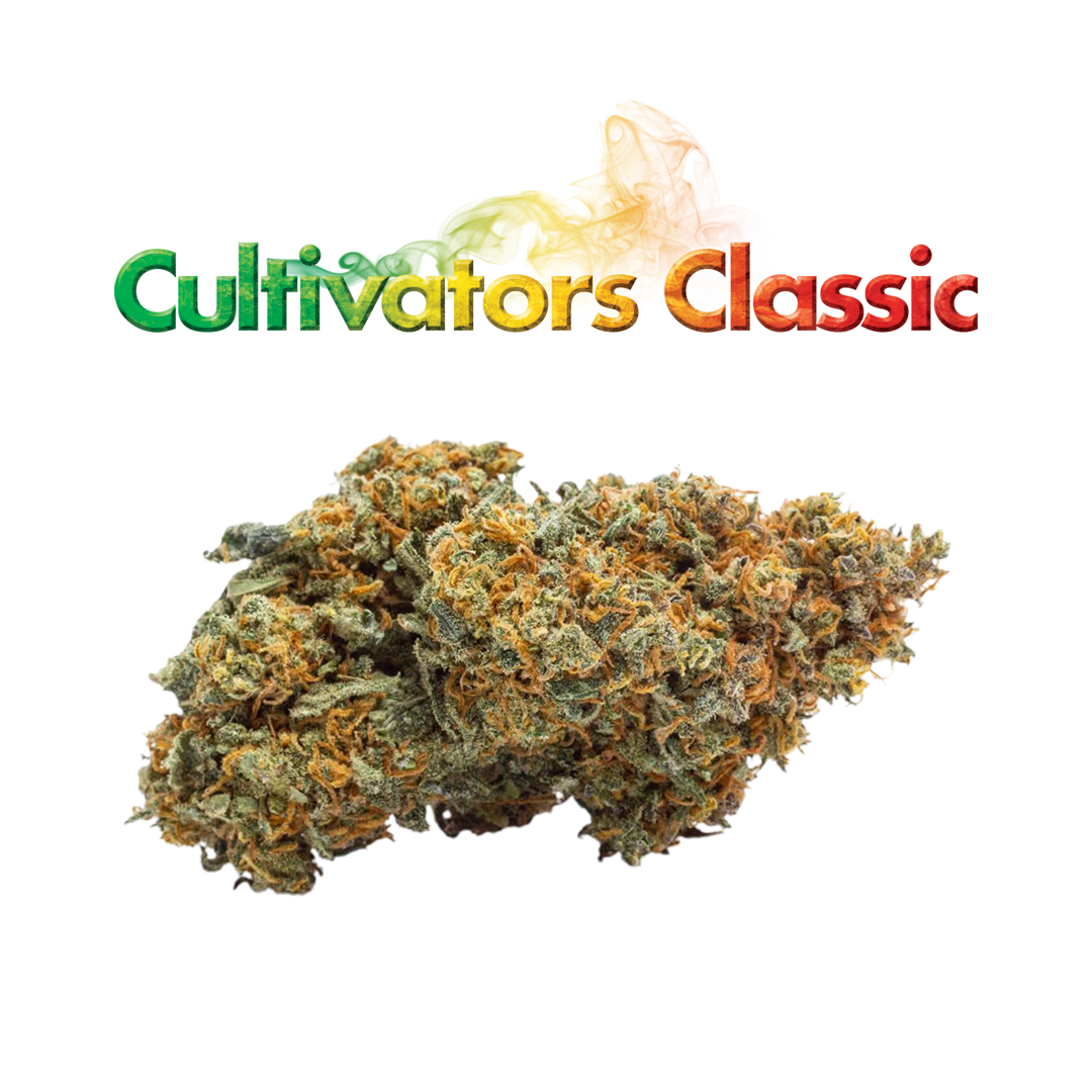 Photograph of product: Cultivators Classic | Governmint Oasis Flower | 3.5g