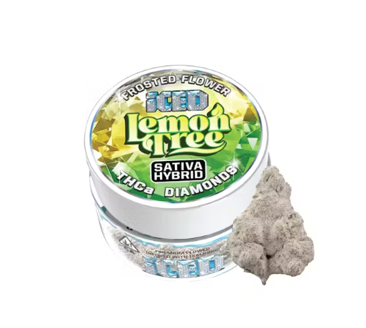 Photograph of product: Iced - Lemon Tree - Infused 3.5g - Oui'd