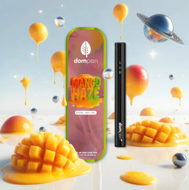 Photograph of product: District Oui'd: Mango Haze 1G Disposable