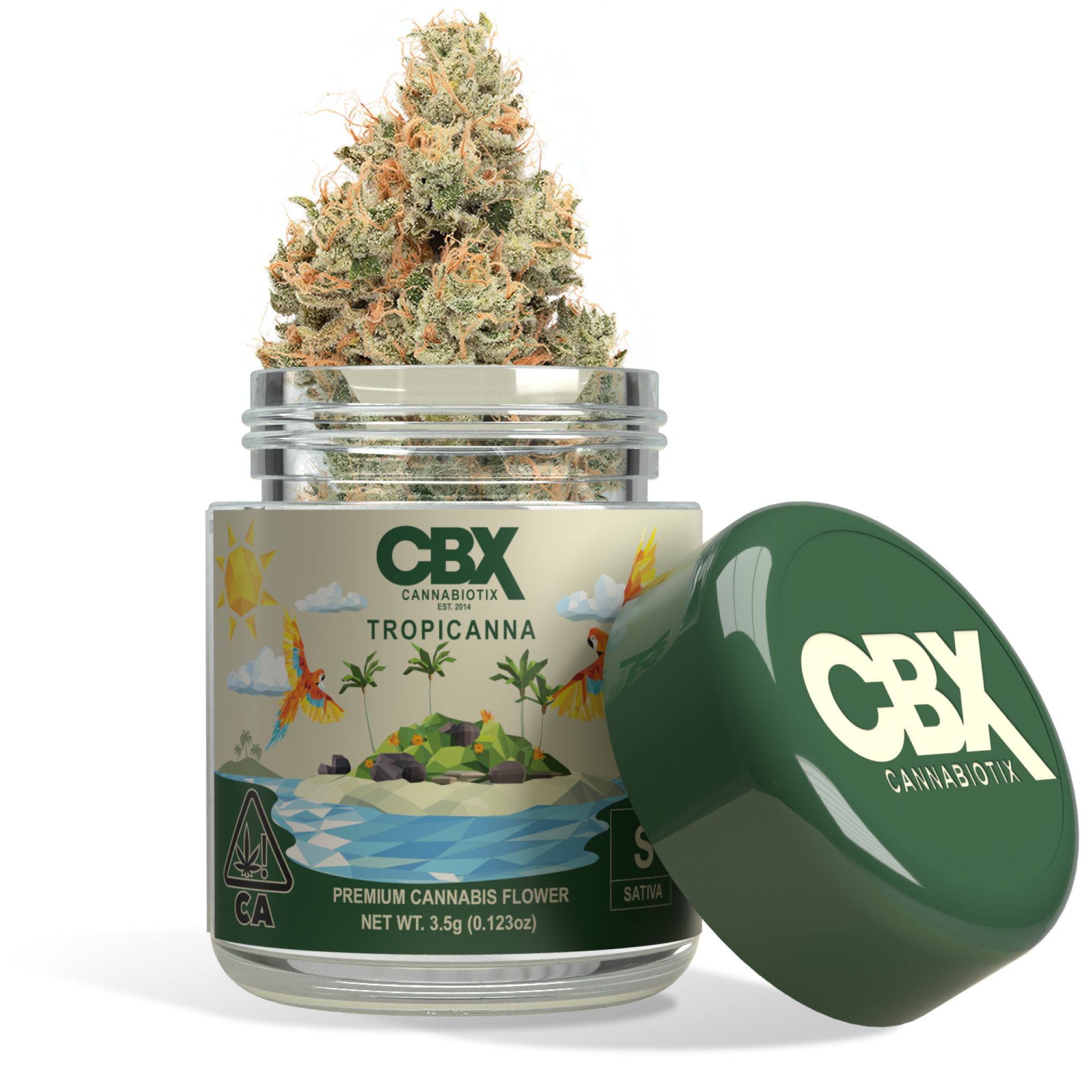 Photograph of product: CBX - Tropical Lemonade - S - Indoor - 3.5g