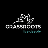 Photograph of product: Grassroots Stardawg x Northern Lights RSO
