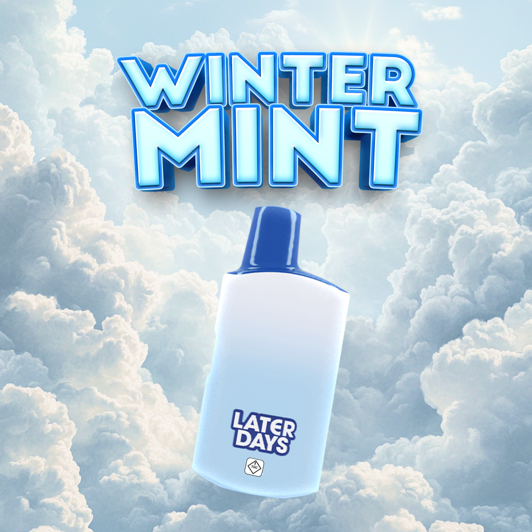 Photograph of product: Winter Mint | Disposable Distillate Vape | 2g