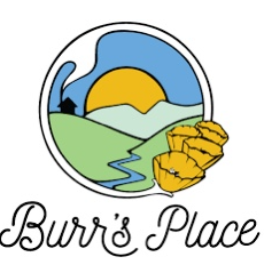 Photograph of product: Burr's Place | Ze Chem (S) | 3.5g Flower