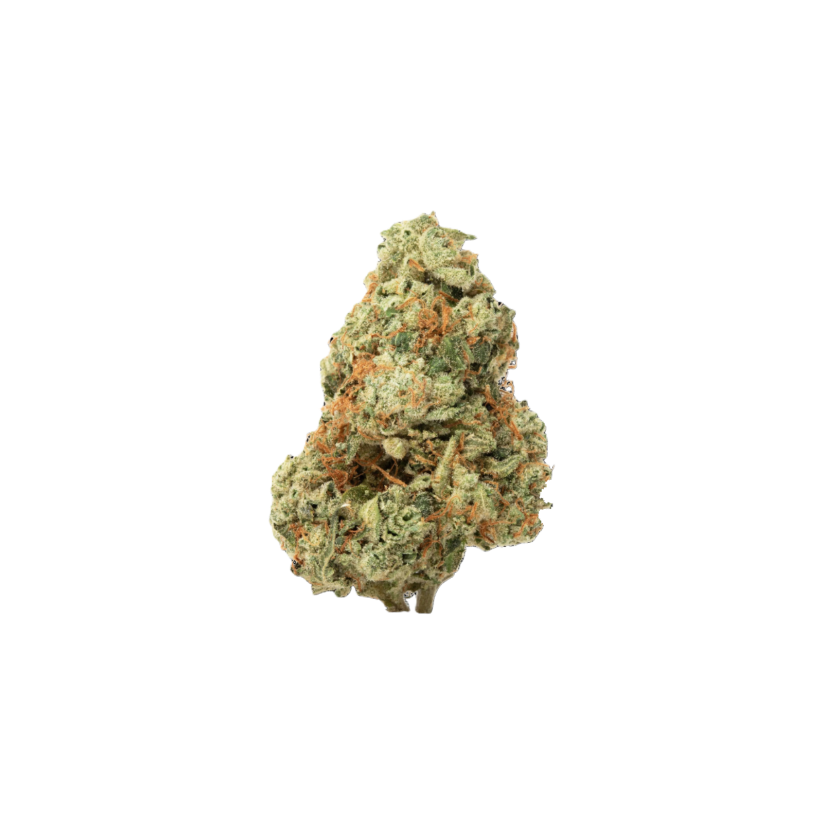 Photograph of product: GLACIER | MEMBER BERRY | HYBRID | DELI-FLOWER | REC - 1g