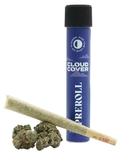 Photograph of product: Pina Grande-1g Pre Roll TAC 29.35