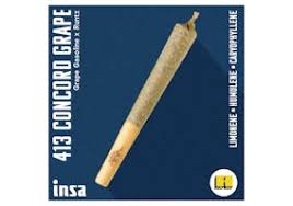 Photograph of product: INSA | CONCORD GRAPE (H)