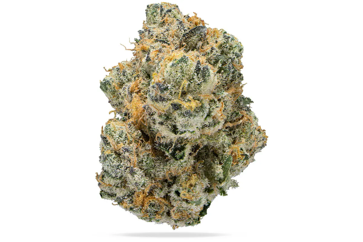 Photograph of product: VIOLET FROG - 4G - 4 G