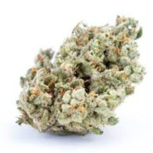 Photograph of product: Tallymon