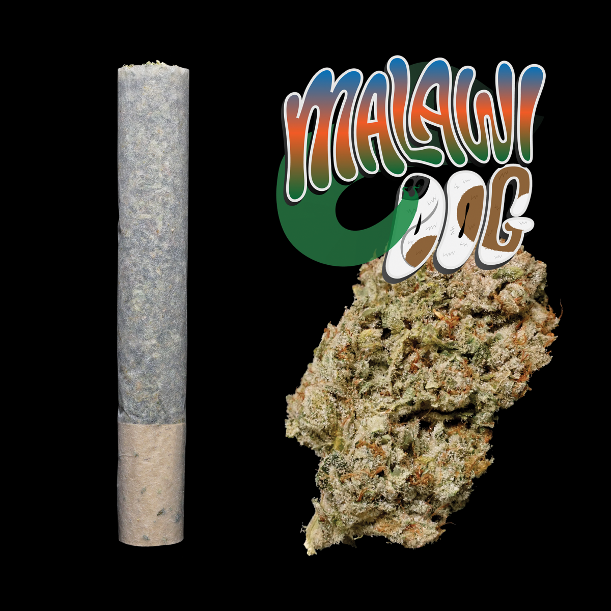 Photograph of product: MALAWI DOG | PREROLL - 1 G