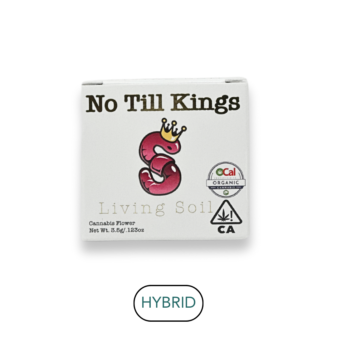 Photograph of product: No Till Kings - White Widow #11 I - Flower - 3.5g