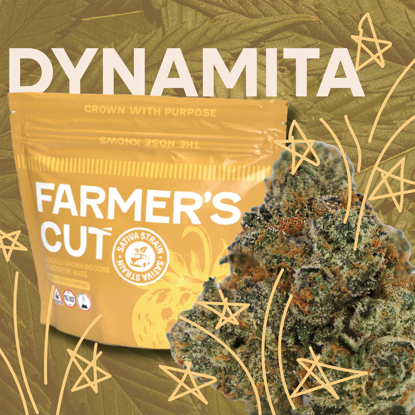 Photograph of product: Dynamita  Bud - 14g