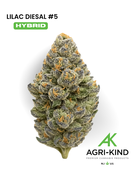 Photograph of product: Agri-Kind - Lilac Diesel #5 - Flower - 3.5g