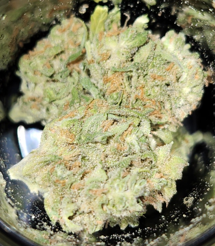 Photograph of product: $5 Gram - Critical Purple - (I) - 1g