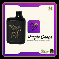 Photograph of product: Disposable Vape - Purple Grape - Dank Tank - REC