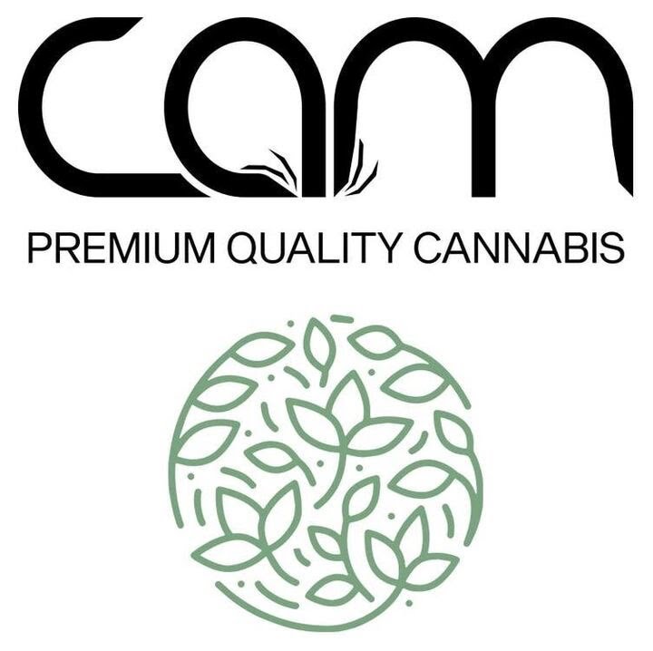 Photograph of product: CAM - 5pk Pre Rolls - Jack Herer