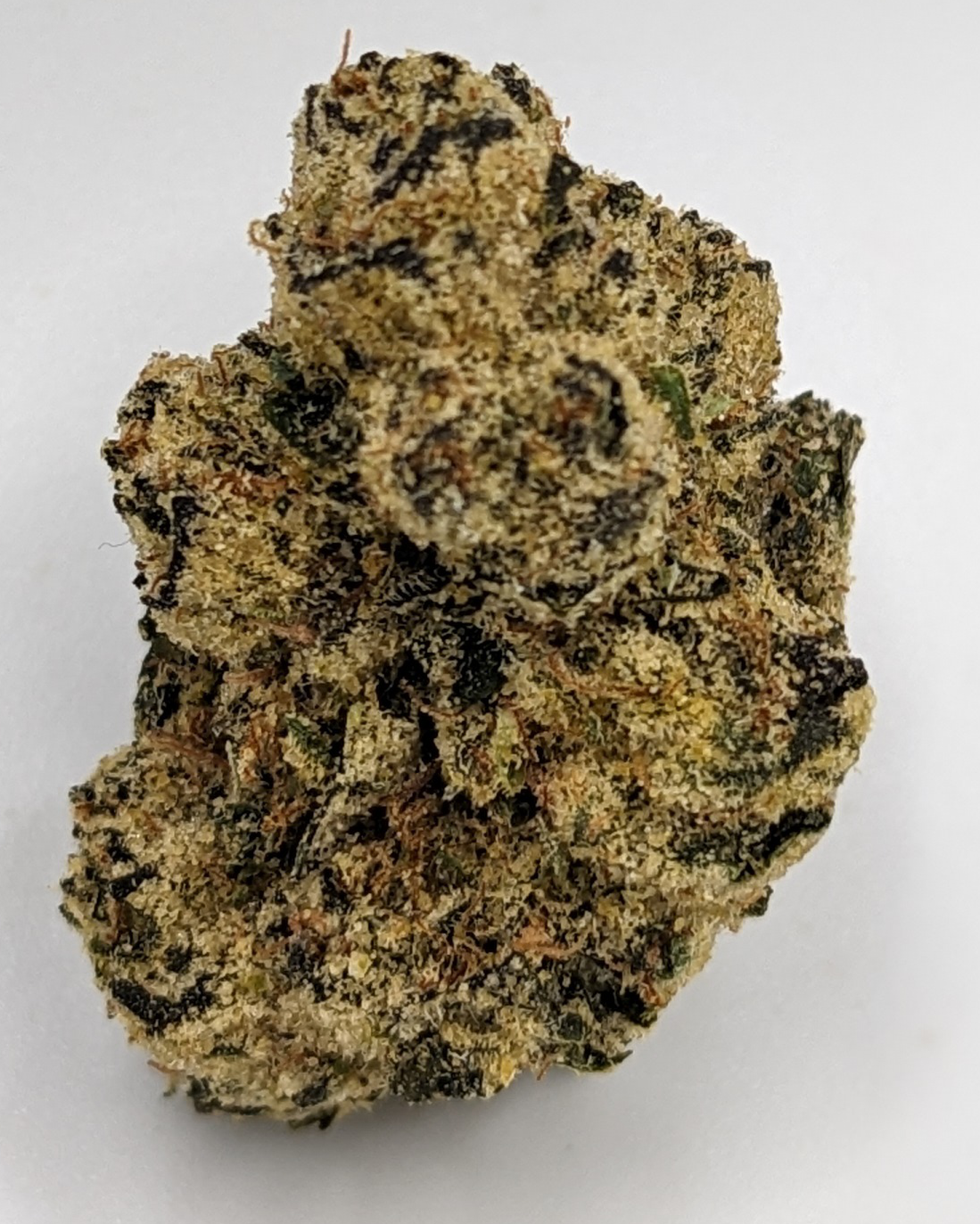 Photograph of Product: Lemon Cherry Gelato - 28g