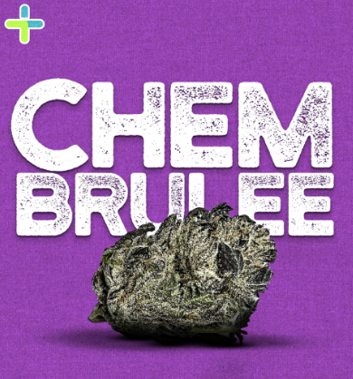 Photograph of product: Chem Brulee | Ground Flower | 14g