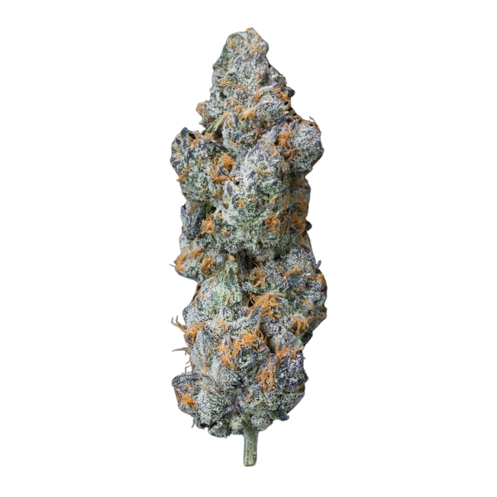 Photograph of product: Lions Breath | Cape Cod Grow Lab - 28g