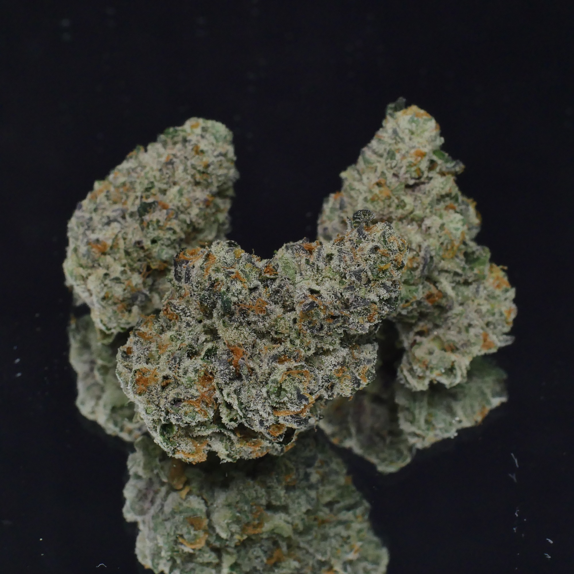 Photograph of product: Dirty Bananas By Urban Canna - 28g