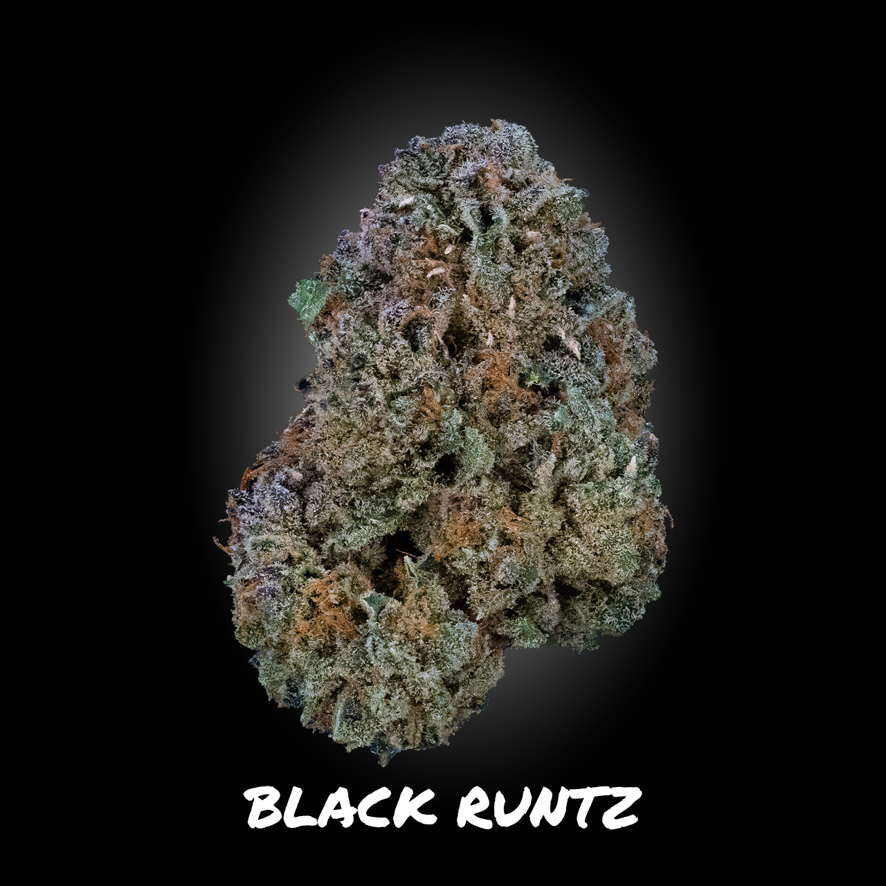 Photograph of product: Black Runtz - Demboyz Prepackaged Flower - 3.5g