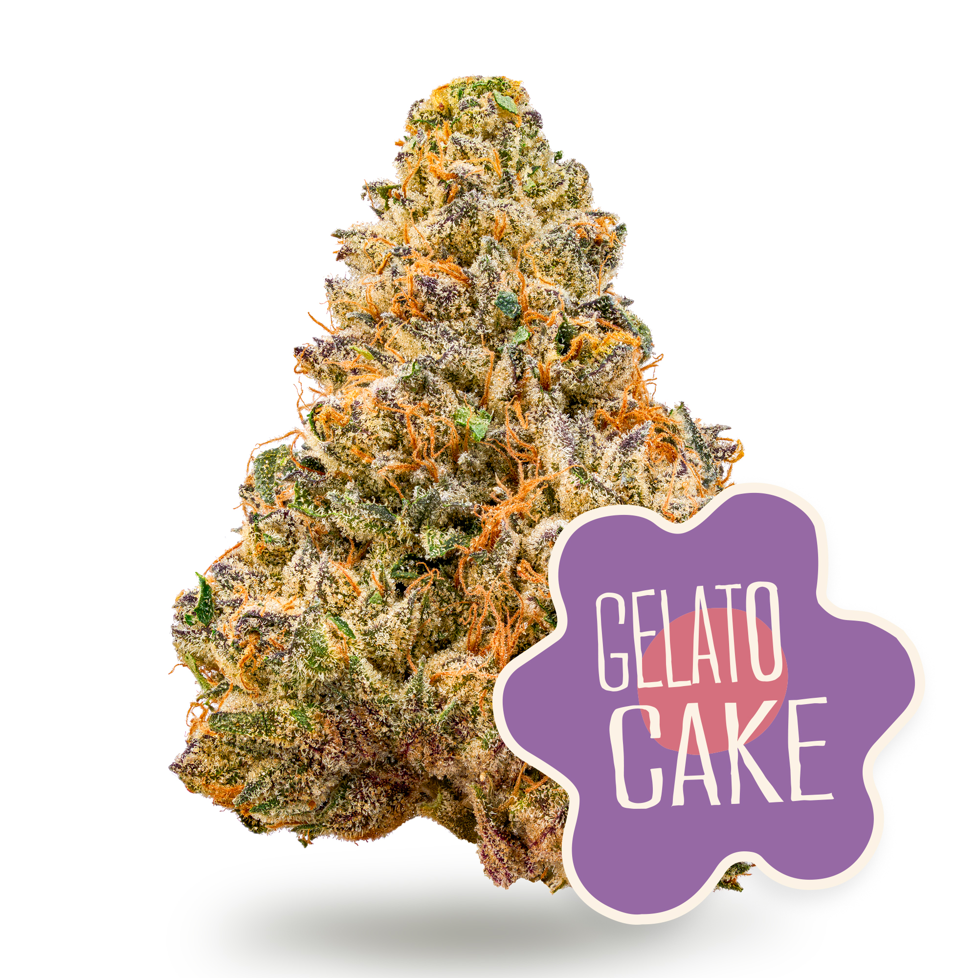 Photograph of product: Gelato Cake Flower | 28g