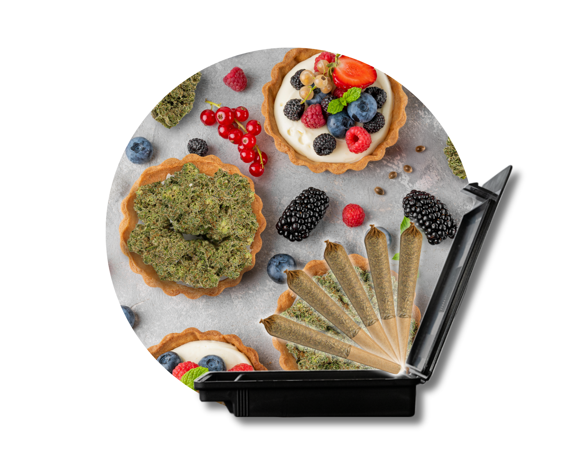 Photograph of product: High Tides-Tartz 5ct Pre-Rolls