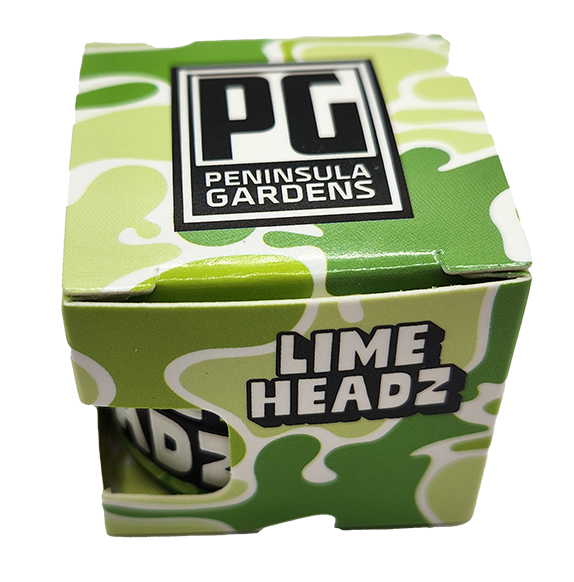Photograph of product: Lime Headz | Live Rosin Jar | Peninsula Gardens