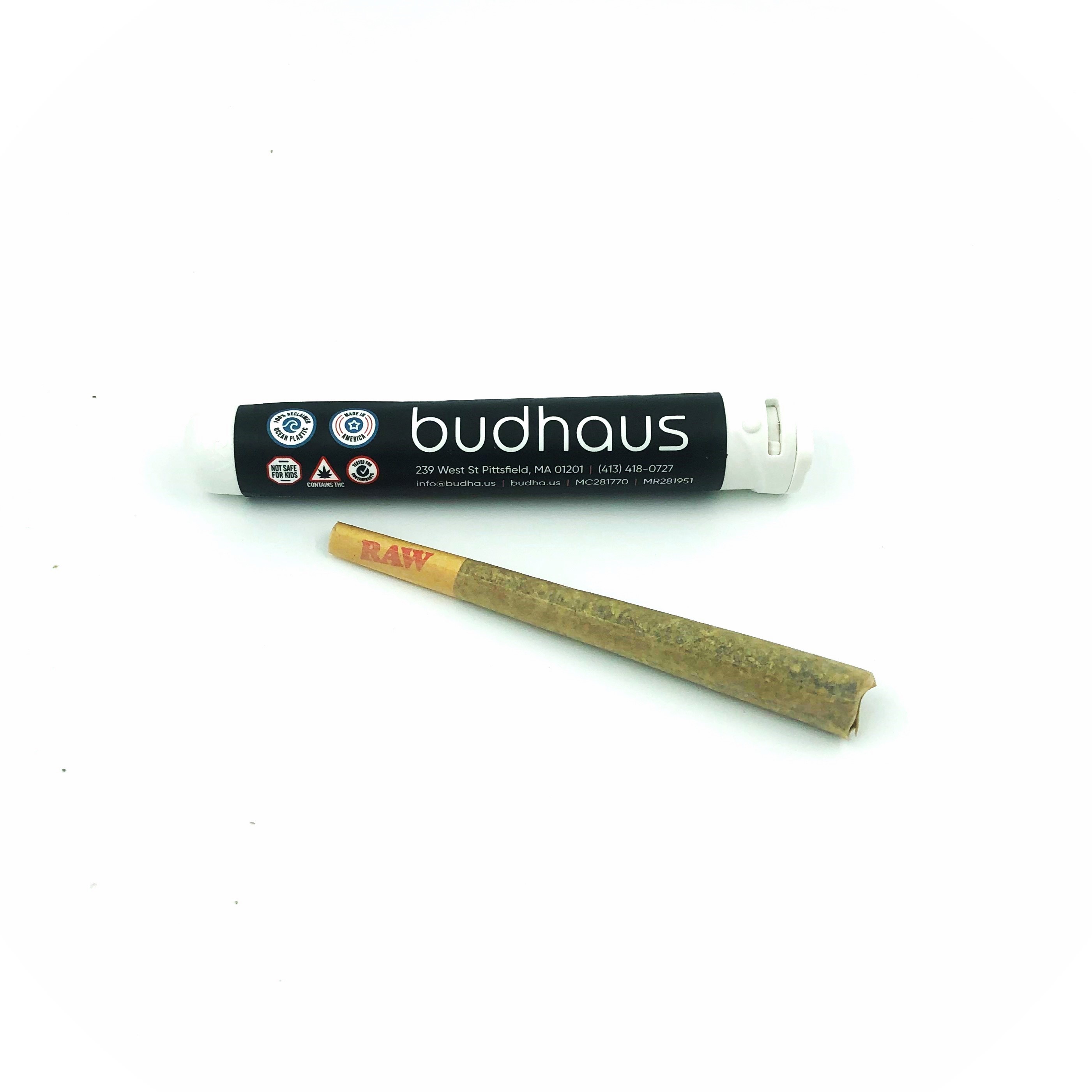 Photograph of product: Glass Slipper Pre-Roll | 1g