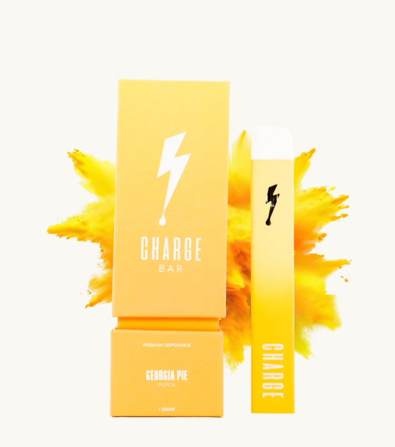 Photograph of product: Georgia Pie Disposable