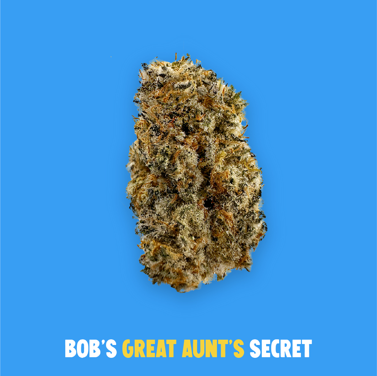 Photograph of product: Great Aunt's Secret Flower | 3.5g