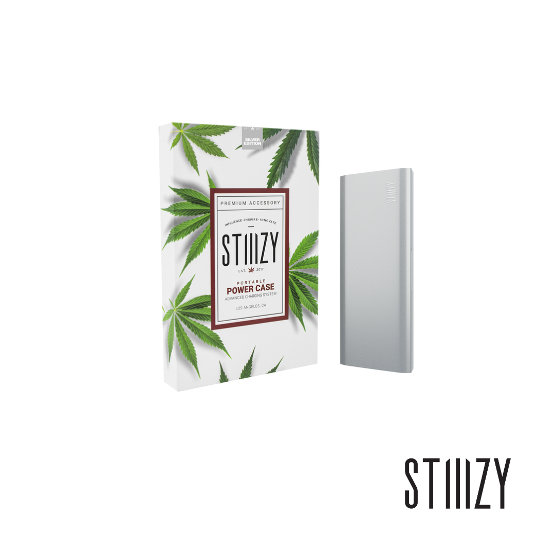 Photograph of product: Power Case | Silver