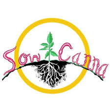 Photograph of product: Rumple Kushkins Sow Canna