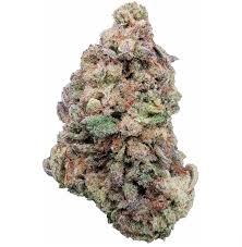 Photograph of product: Bold Cultivation TICAL Glitter Bomb 7g Oui'd Flower